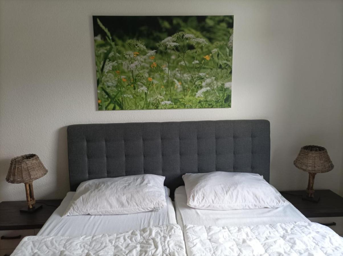 Ferienresidenz Wurmbergblick Apartment Braunlage Luaran gambar